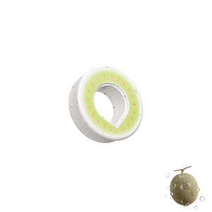 Sabor melón